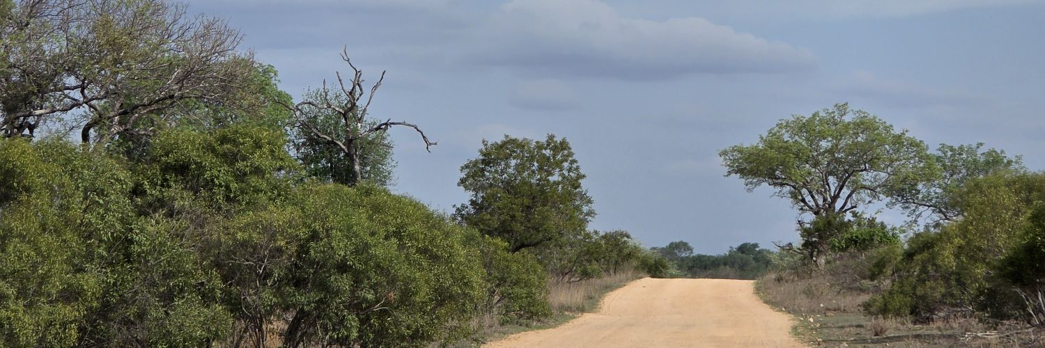 MarieClaude 🇨🇦 banner