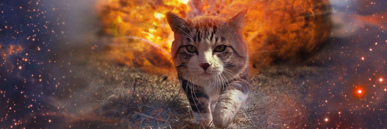 kIOkitten's profile banner image