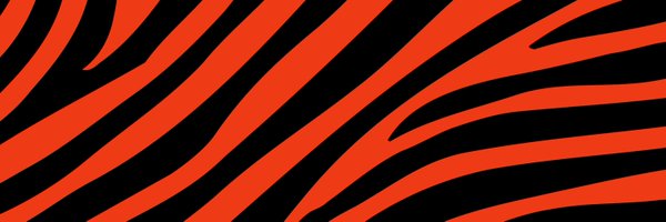 whodeyupdates Profile Banner