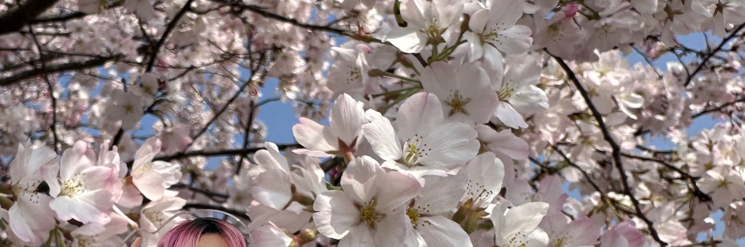 ume4649's profile banner image