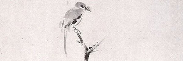 Memetics33 Profile Banner