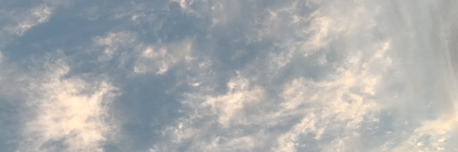 ____lapin's profile banner image