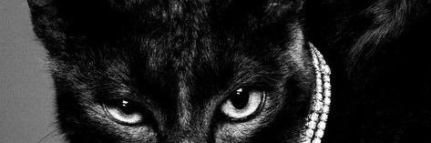 عَـشْتَار banner