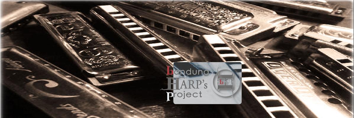 BdgHarpsProject's profile banner image