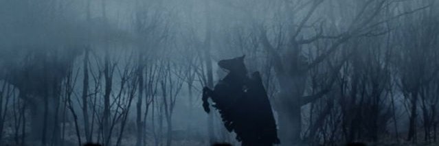 certainly_human's profile banner image