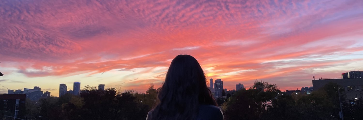 stiffdix's profile banner image