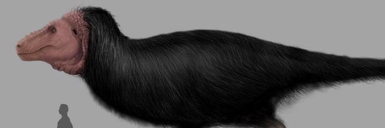 juggliano's profile banner image