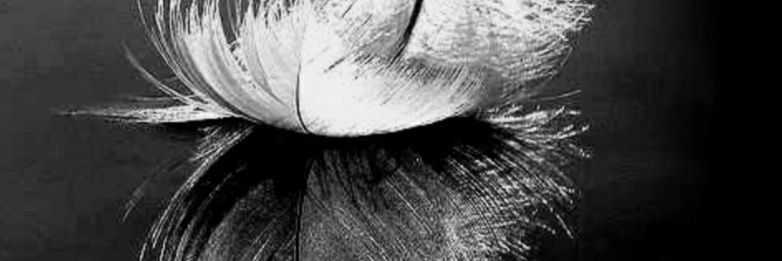 Roaa_S3's profile banner image