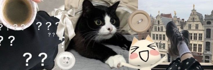 Nil ˚🗝️⊹ banner