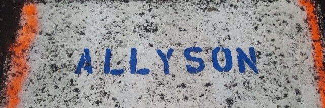 allyXpally's profile banner image