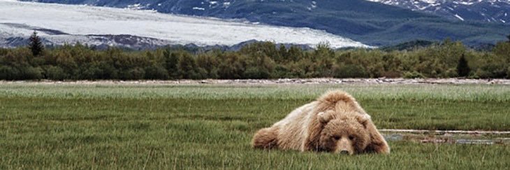 BEÆR banner