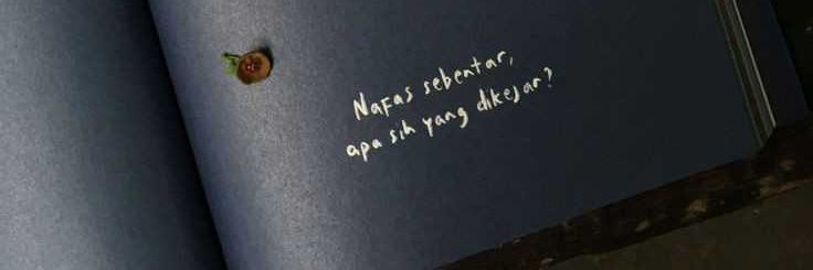 bella banner