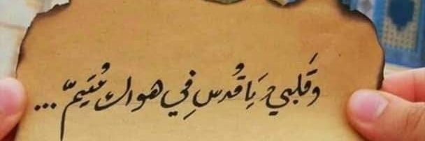 elemam_hadeer's profile banner image