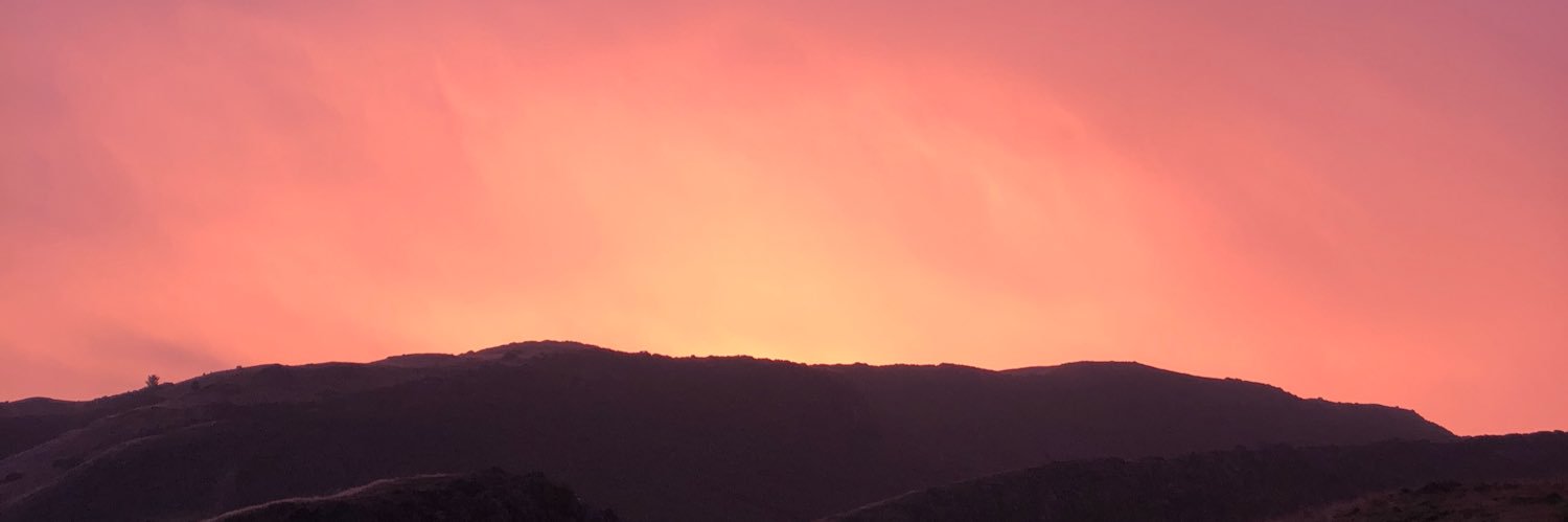 MissANielsen's profile banner image