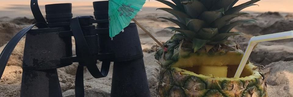 ZinedineeM's profile banner image