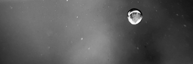 V. banner