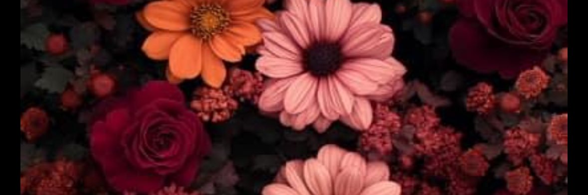 BlueEyedTexan's profile banner image