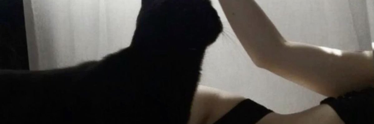 Vimp 🍓 banner