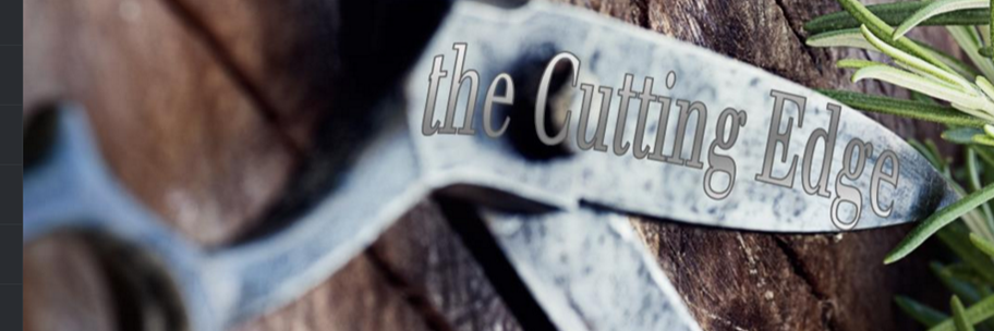 the Cutting Edge banner