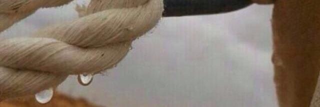 WHM_vip's profile banner image