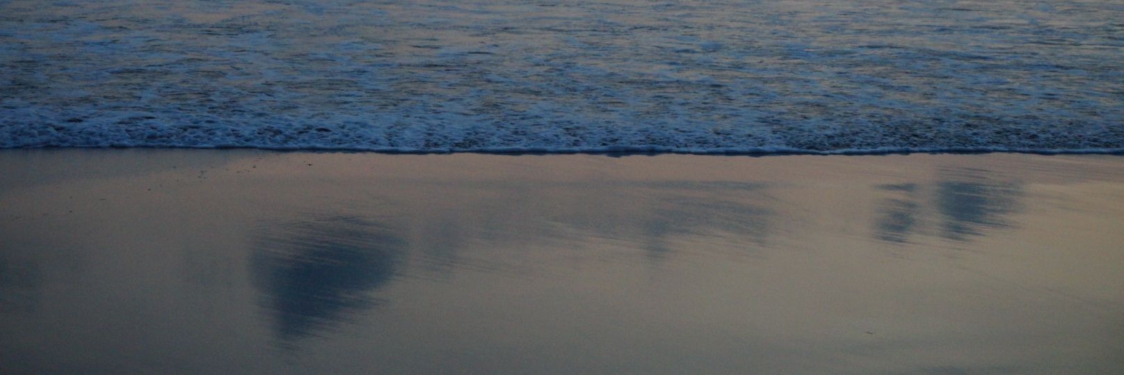 Sian_Fox's profile banner image