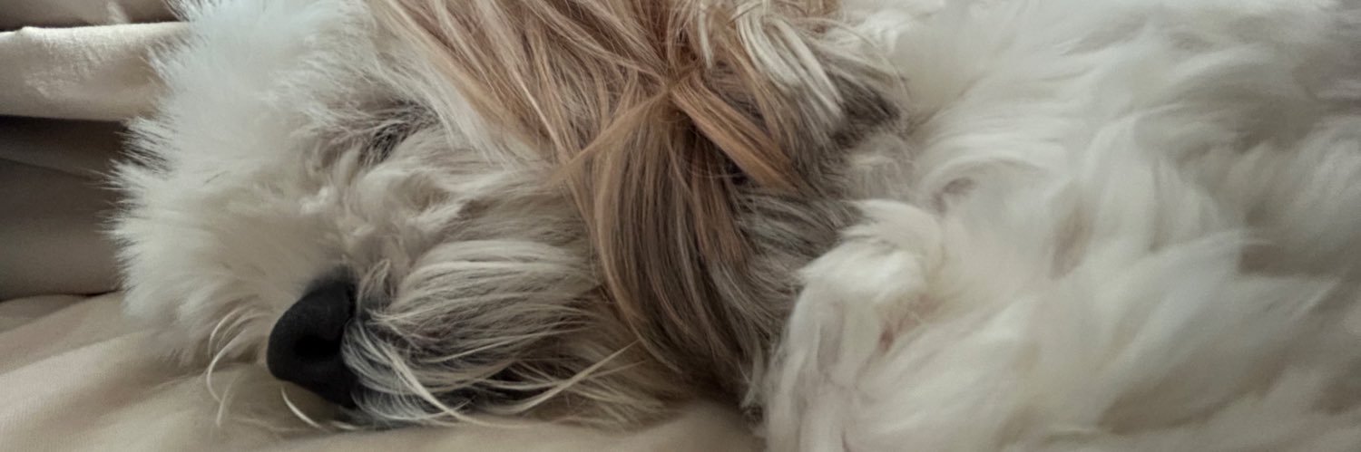 jenteafer's profile banner image