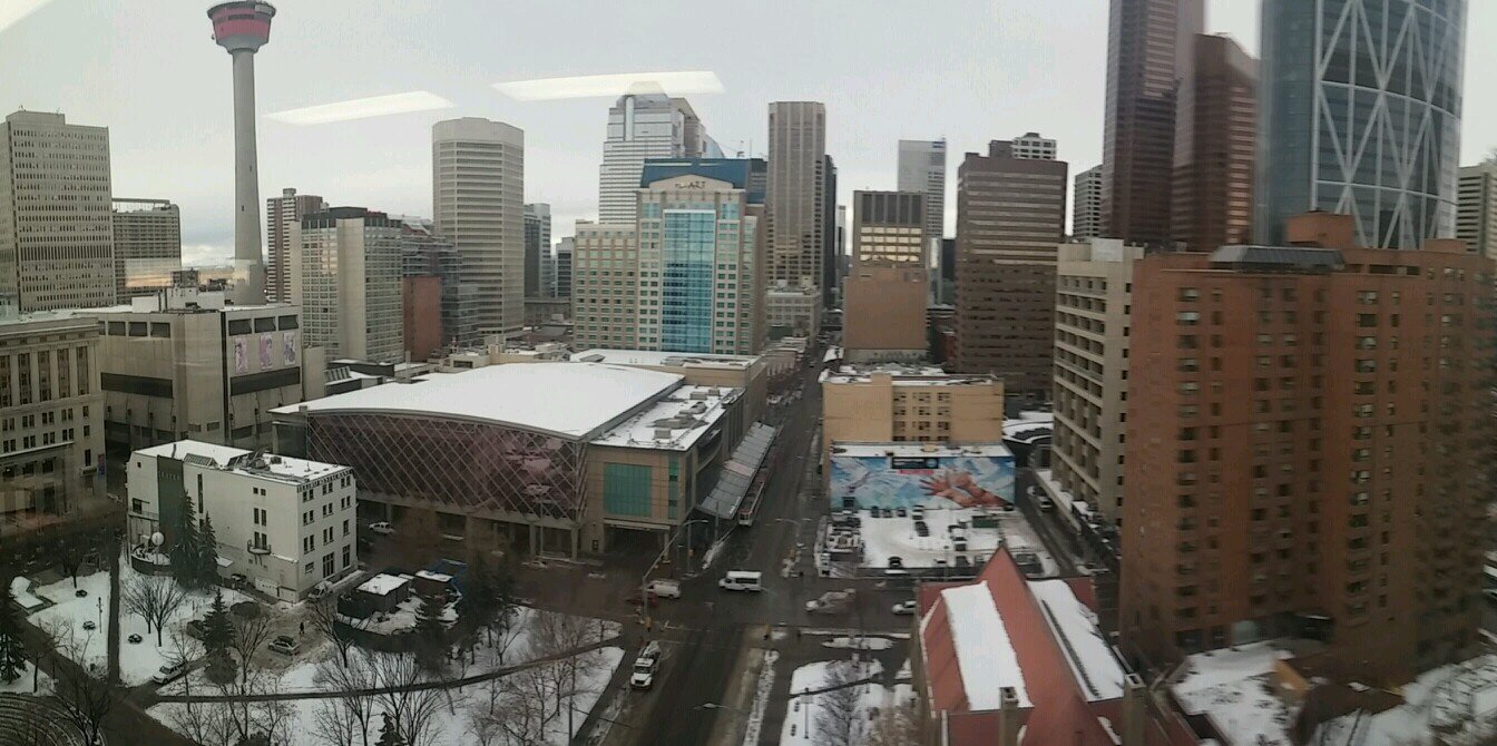 Calgarypest's profile banner image