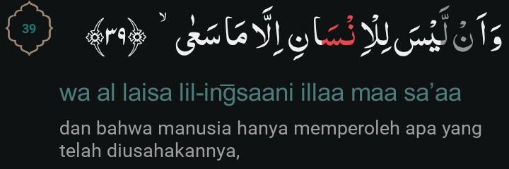 dnf. mt after dm ygy banner