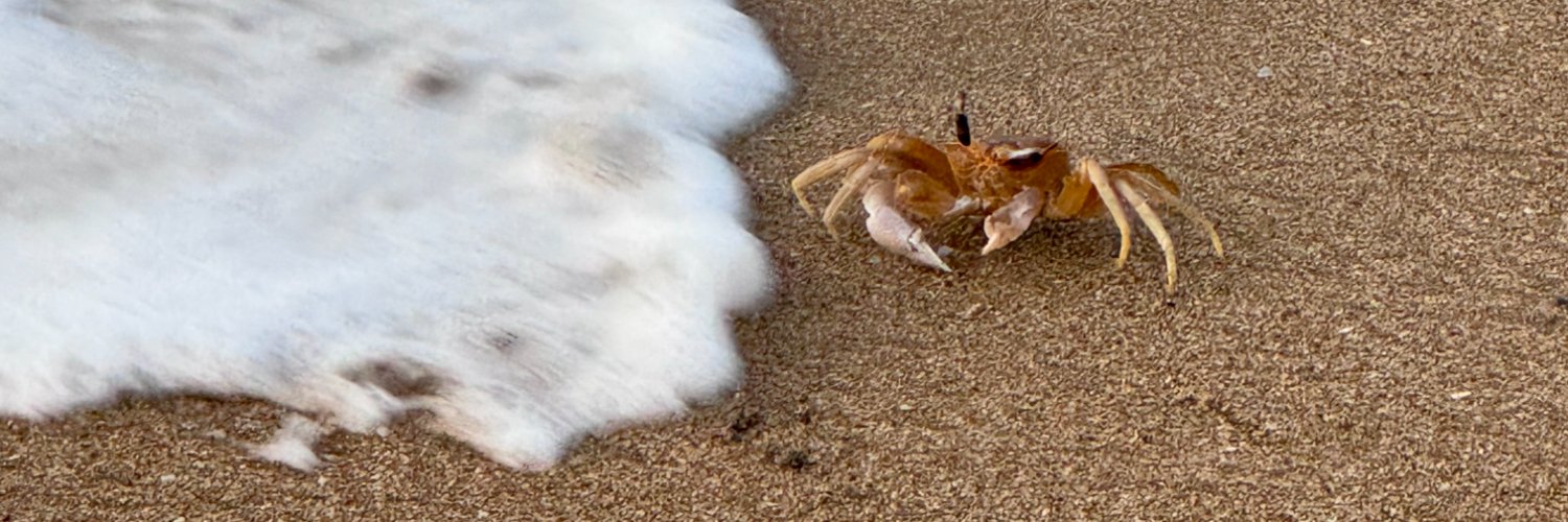 Jayashree Narayan banner