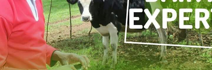 roptoo's profile banner image