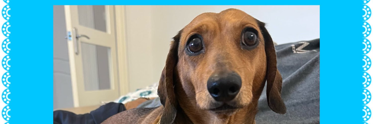 missmojangles's profile banner image