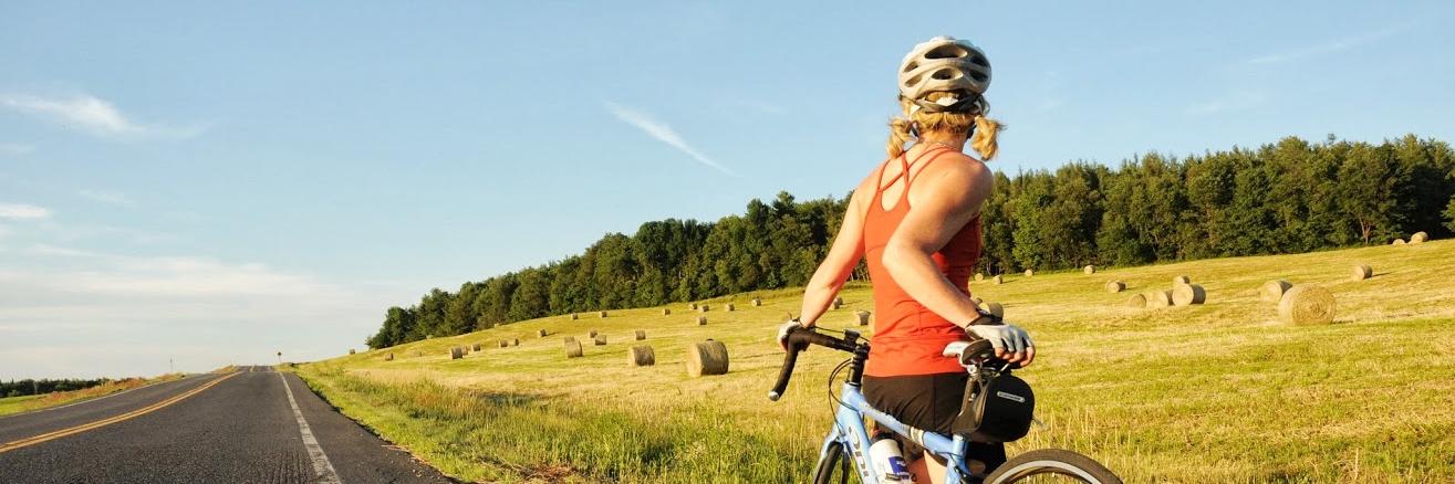 Brome-Missisquoi banner