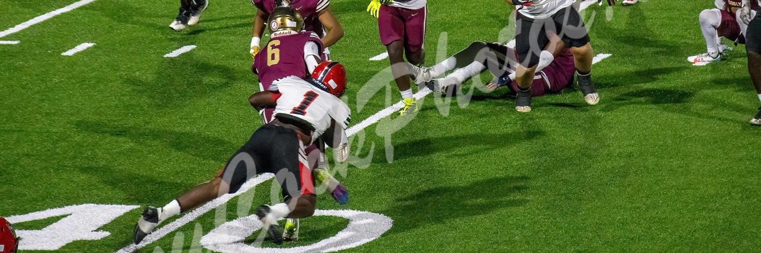 Stanley shephard banner