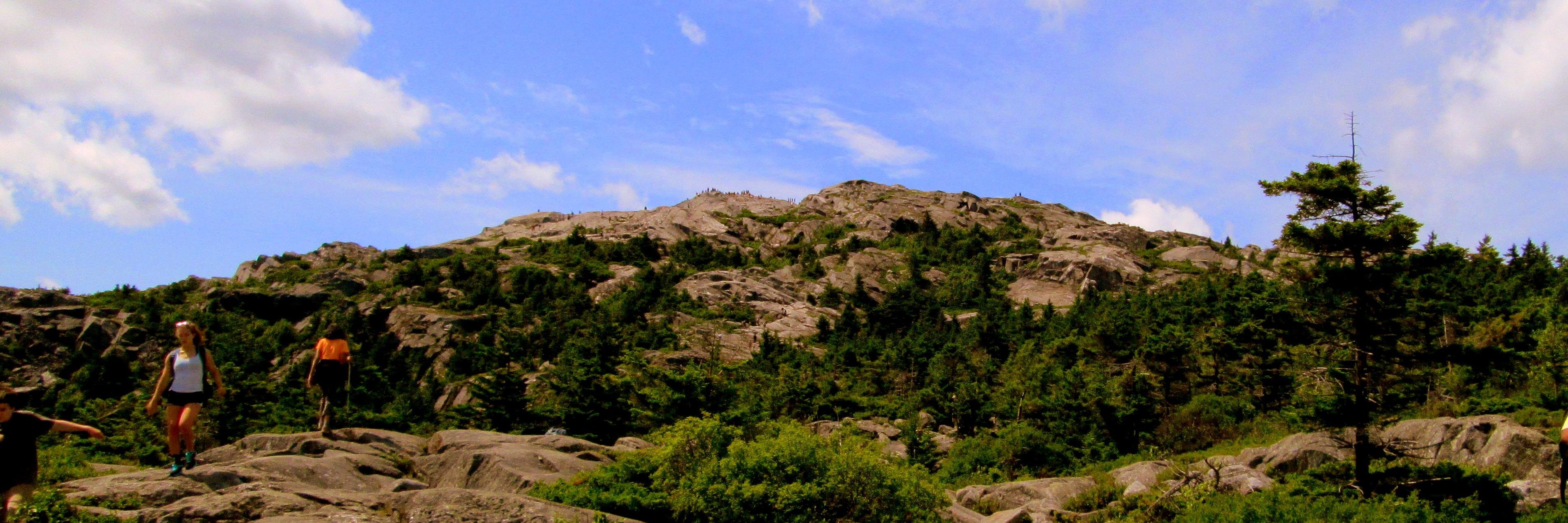 akki_bhide's profile banner image