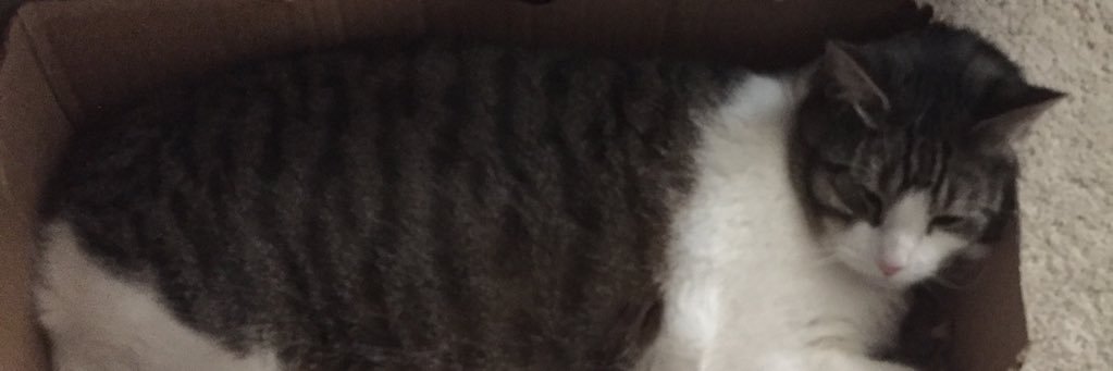 RavingToyManiac's profile banner image