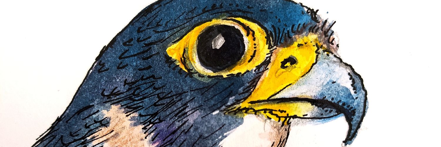 marcal_oliver's profile banner image