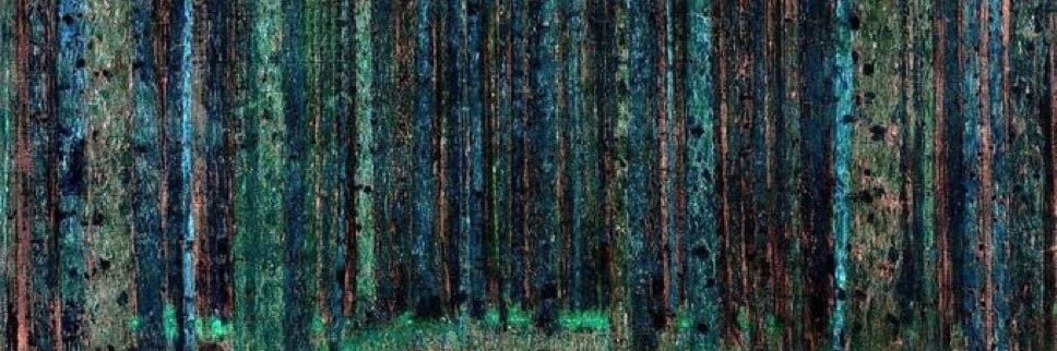 DevorahTreatman's profile banner image