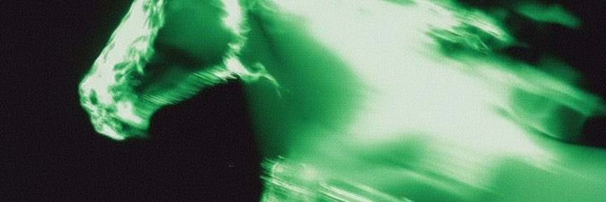 Draconiida's profile banner image
