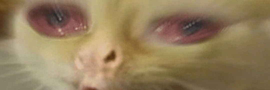 JfuzzyP's profile banner image
