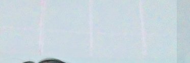 embong banner