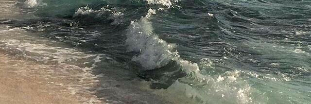 . banner