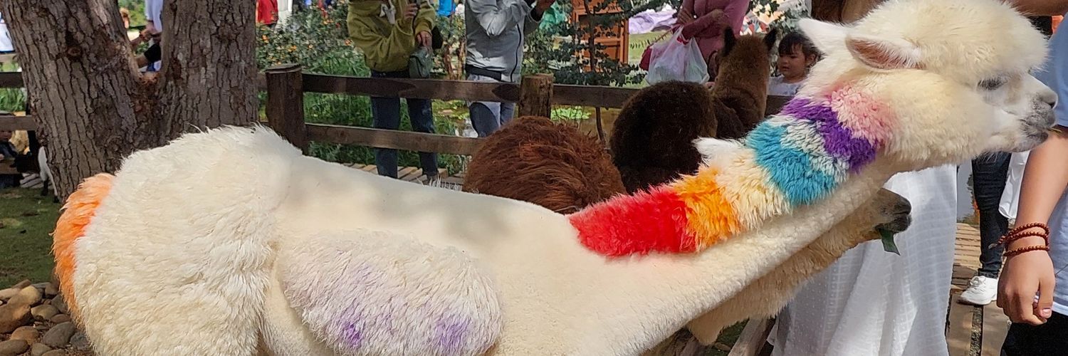 Lasvelda_Lav banner