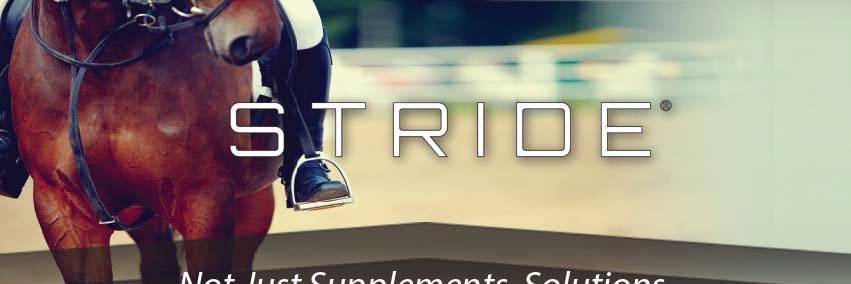 StrideAH's profile banner image