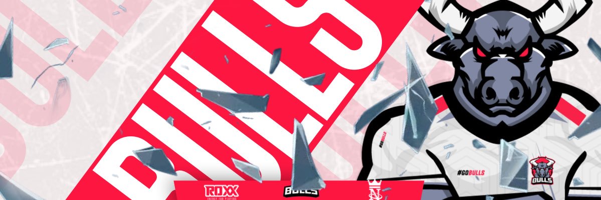 BULLS_ofc's profile banner image
