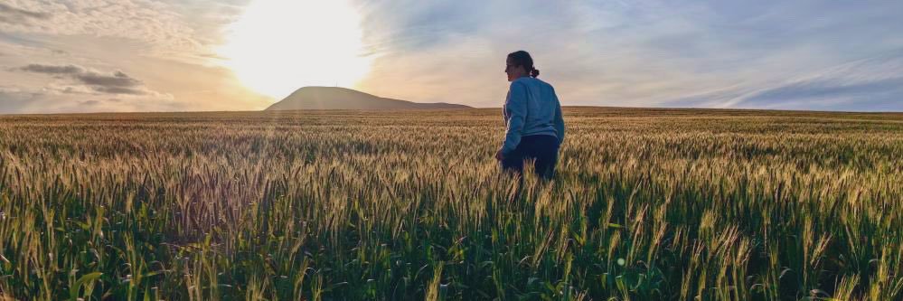 Lindsey Schutters banner