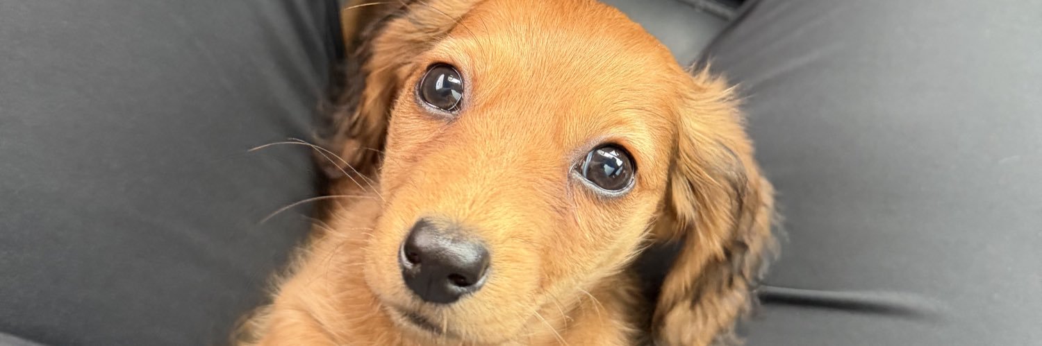 Branndenn_'s profile banner image