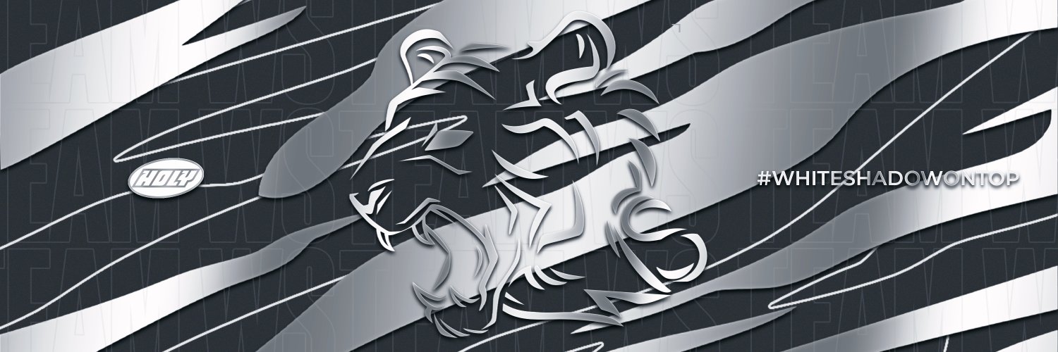 Team WS ⚪⚫ banner