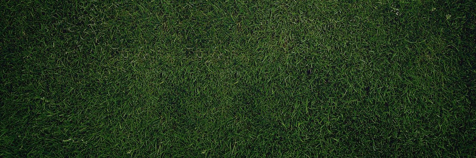 R_Suciedad's profile banner image