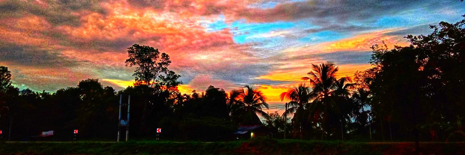 .NYAN 🔫😾 $BUBBLE 🫧🫧🫧 banner