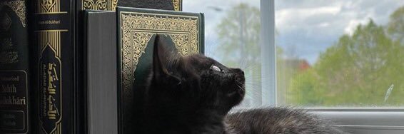 khaleed_ibrahim's profile banner image